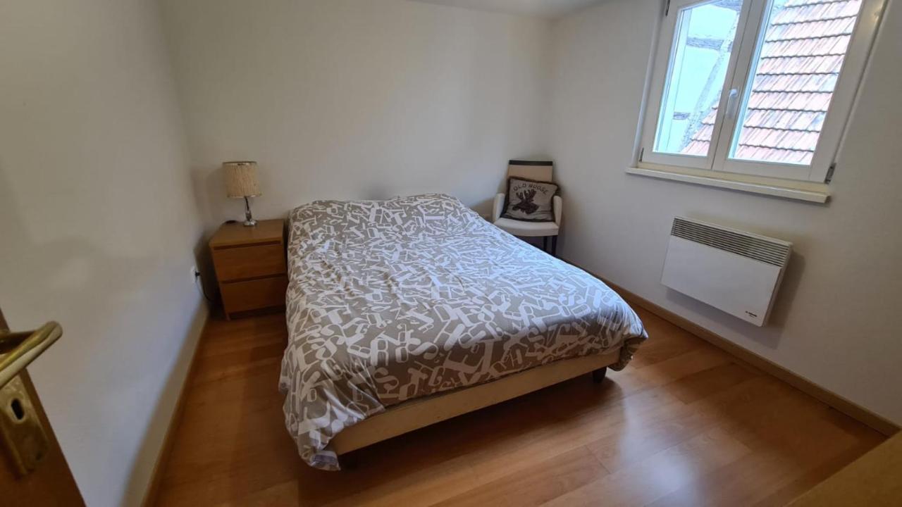 Ferienwohnung Le Bonheur Est Parfois Cache Dans L'Inconnu Sélestat Exterior foto